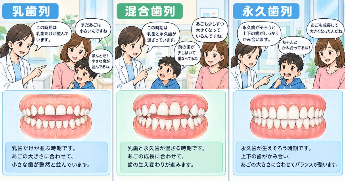 子供の歯並びが悪くなる原因は、歯と顎の成長だけ?