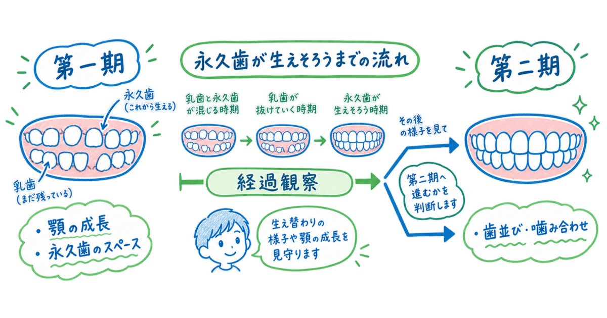 子供の矯正の第一期と第二期の違いを、開始時期と治療目的から整理